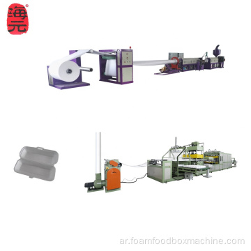 PS Foam Thermocol Food Box Machine